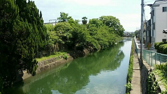 f:id:ichigo2015:20160720194954j:image f:id:ichigo2015:20160720194954j:image