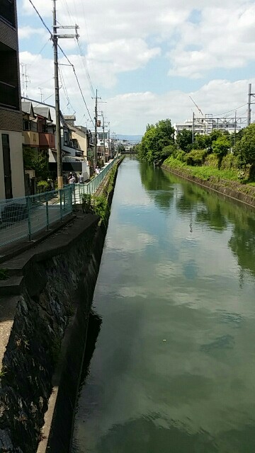 f:id:ichigo2015:20160721121506j:image f:id:ichigo2015:20160721121506j:image