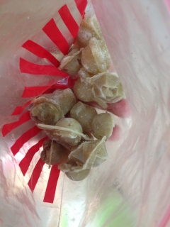 f:id:ichigotouhu:20131111215829j:plain