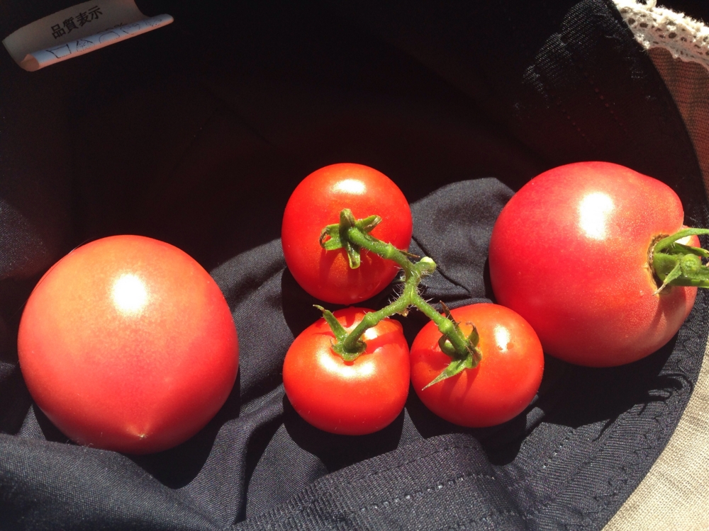 f:id:ichigotouhu:20140802234955j:plain