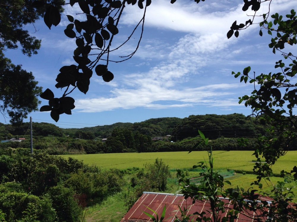 f:id:ichigotouhu:20140804222512j:plain