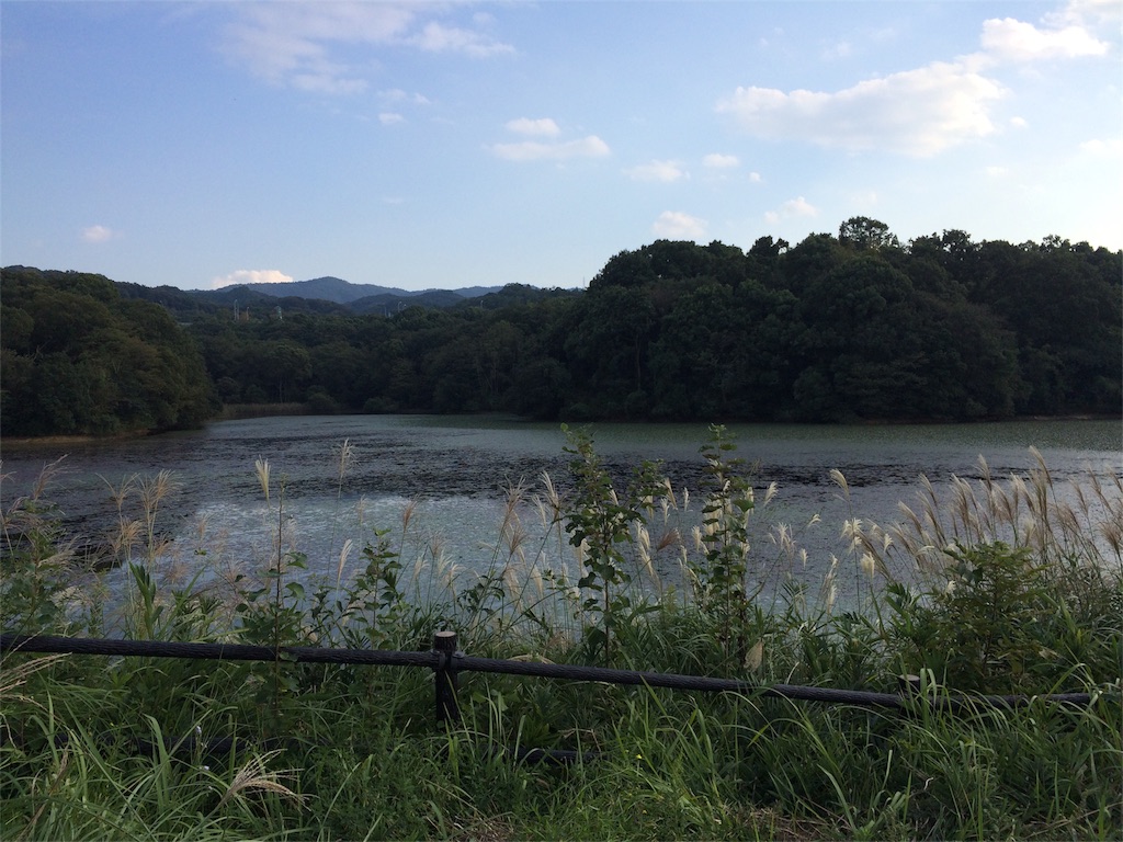 f:id:ichigoyoukan:20151005055214j:image f:id:ichigoyoukan:20151005055214j:image