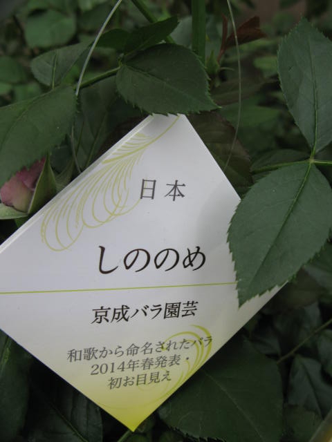 f:id:ichirou1515:20130510155300j:plain f:id:ichirou1515:20130510155300j:plain