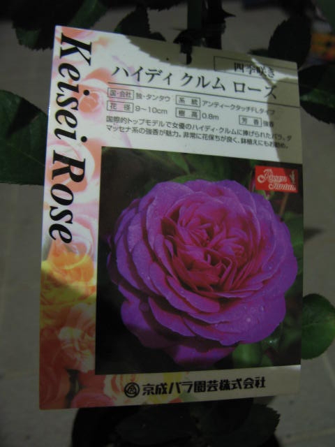 f:id:ichirou1515:20130510214405j:plain f:id:ichirou1515:20130510214405j:plain