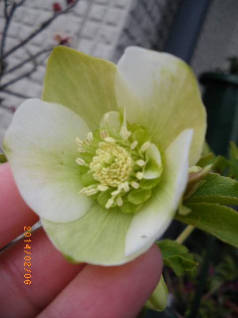 f:id:ichirou1515:20140206142421j:plain f:id:ichirou1515:20140206142421j:plain