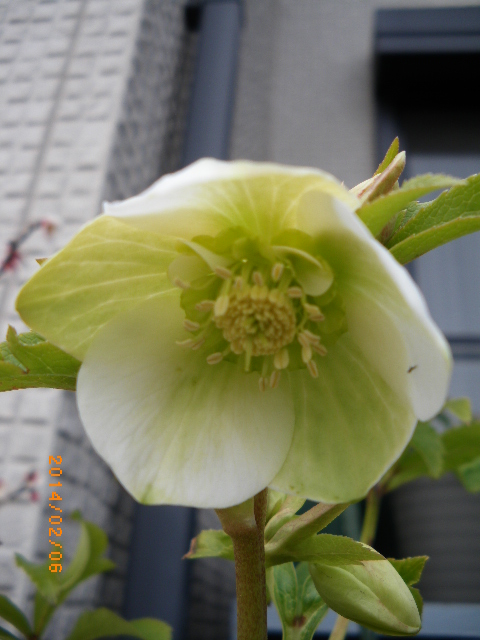 f:id:ichirou1515:20140206142434j:plain f:id:ichirou1515:20140206142434j:plain