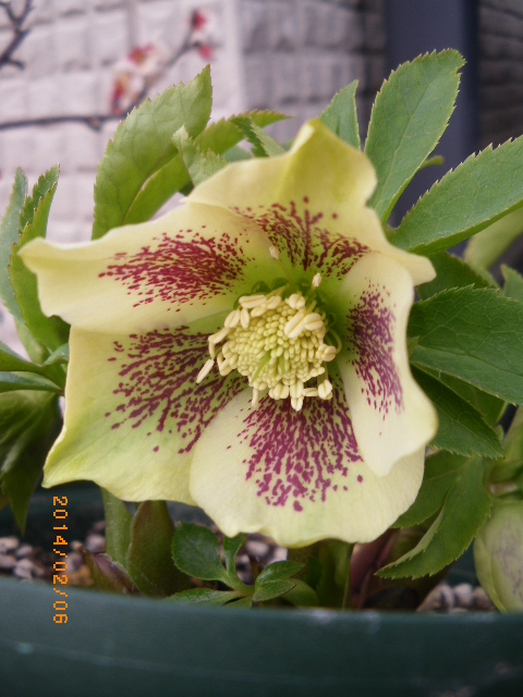 f:id:ichirou1515:20140206142534j:plain f:id:ichirou1515:20140206142534j:plain