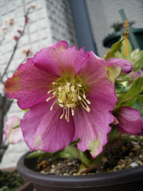 f:id:ichirou1515:20140206143010j:plain f:id:ichirou1515:20140206143010j:plain