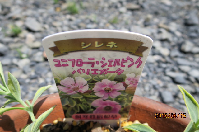 f:id:ichirou1515:20150415122031j:plain f:id:ichirou1515:20150415122031j:plain