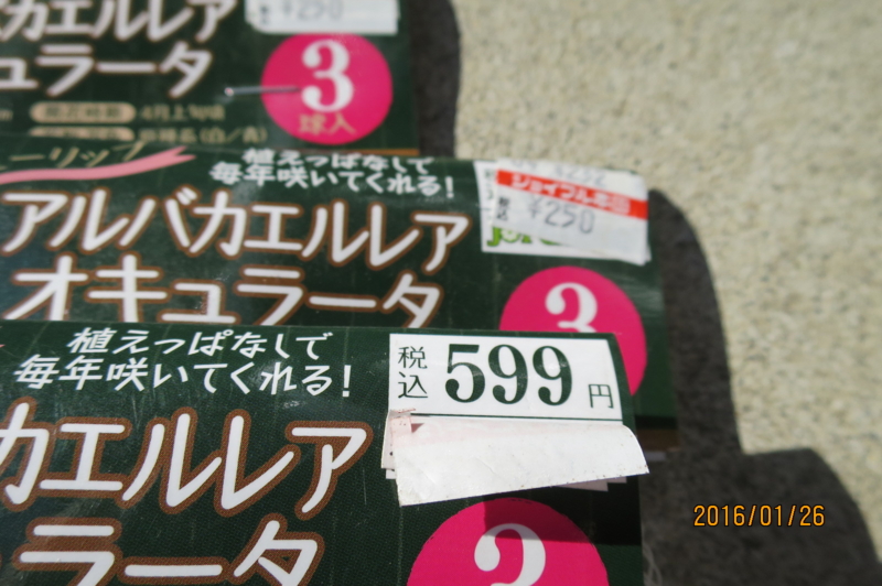 f:id:ichirou1515:20160126104430j:plain f:id:ichirou1515:20160126104430j:plain