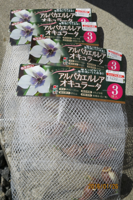 f:id:ichirou1515:20160126104458j:plain f:id:ichirou1515:20160126104458j:plain