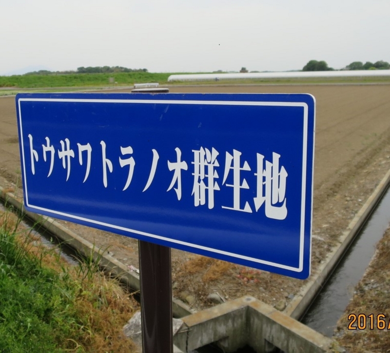 f:id:ichirou1515:20160506104403j:plain f:id:ichirou1515:20160506104403j:plain