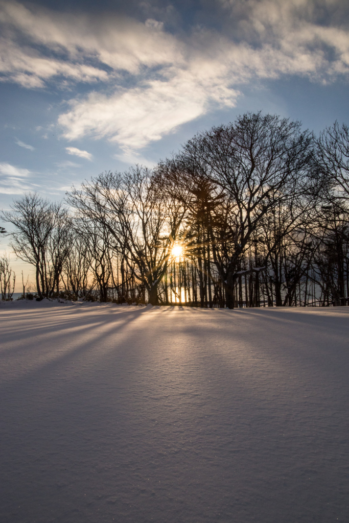 f:id:iden0911:20160115154203j:plain f:id:iden0911:20160115154203j:plain