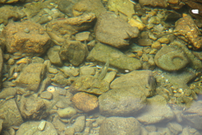 f:id:idinor:20130914125000j:image:w360 f:id:idinor:20130914125000j:image:w360