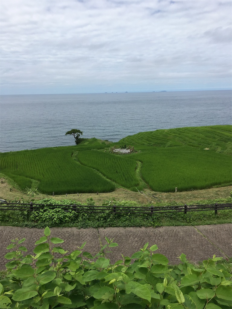f:id:ienomiotoko:20160725122738j:image f:id:ienomiotoko:20160725122738j:image