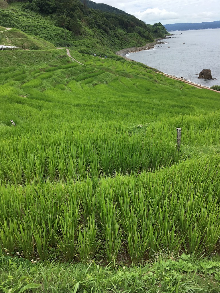 f:id:ienomiotoko:20160725122823j:image f:id:ienomiotoko:20160725122823j:image