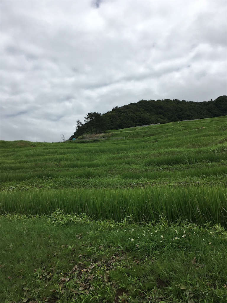f:id:ienomiotoko:20160725123423j:image f:id:ienomiotoko:20160725123423j:image