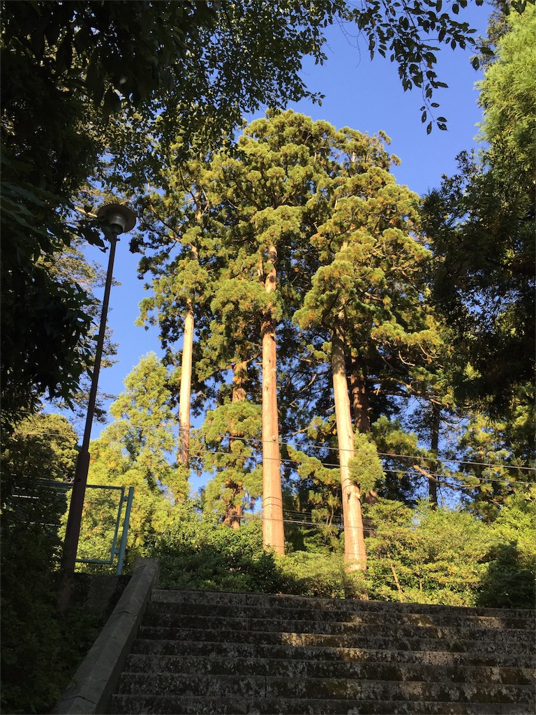 f:id:iewokau:20151004231940j:image f:id:iewokau:20151004231940j:image
