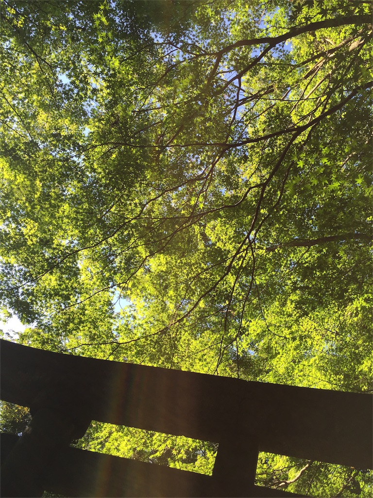 f:id:iewokau:20151004232518j:image f:id:iewokau:20151004232518j:image