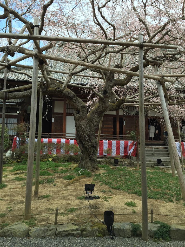 f:id:iewokau:20160407070243j:image f:id:iewokau:20160407070243j:image