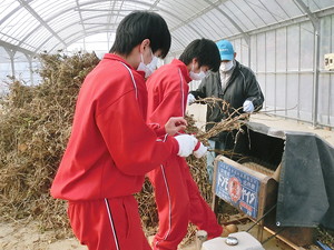 f:id:iga-akebono-gakuen:20160108131616j:plain