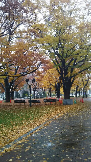 f:id:iitan1115:20151111224658j:image f:id:iitan1115:20151111224658j:image