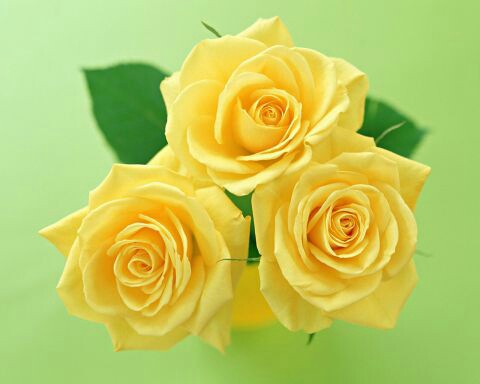 f:id:iitan1115:20151114192133j:image f:id:iitan1115:20151114192133j:image