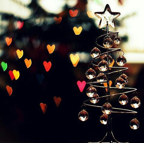 f:id:iitan1115:20151209080507j:image f:id:iitan1115:20151209080507j:image