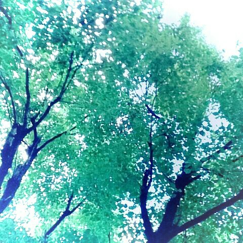 f:id:iitan1115:20160112160556j:image f:id:iitan1115:20160112160556j:image