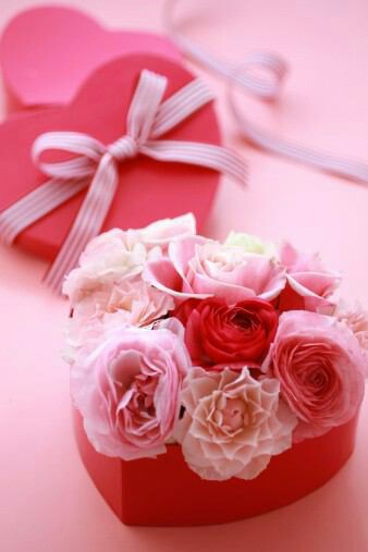 f:id:iitan1115:20160113194052j:image f:id:iitan1115:20160113194052j:image
