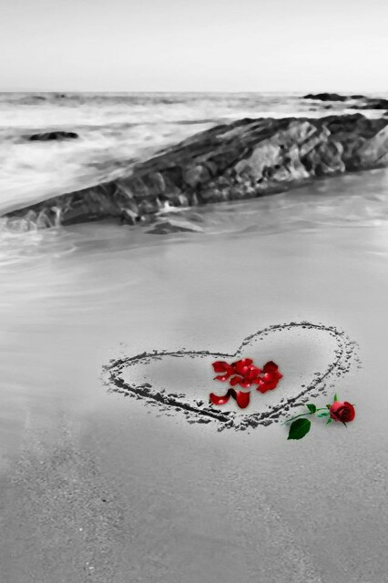 f:id:iitan1115:20160114151516j:image f:id:iitan1115:20160114151516j:image