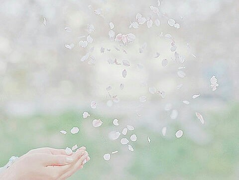 f:id:iitan1115:20160215081435j:image f:id:iitan1115:20160215081435j:image