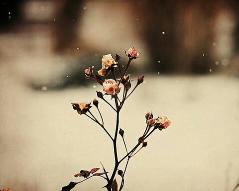 f:id:iitan1115:20160218084745j:image f:id:iitan1115:20160218084745j:image
