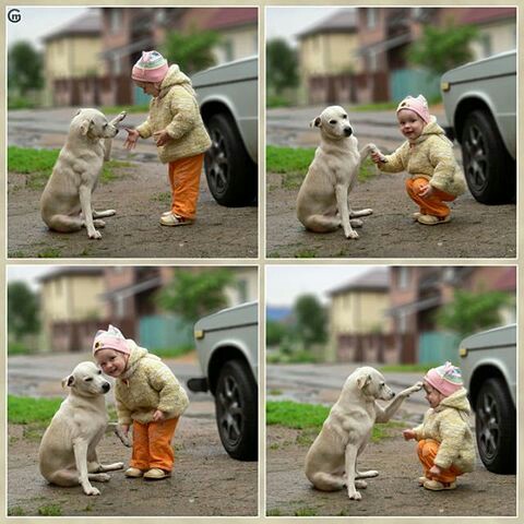 f:id:iitan1115:20160226043859j:image f:id:iitan1115:20160226043859j:image