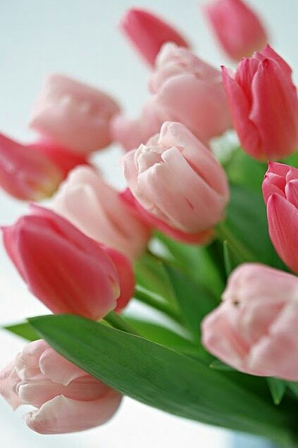 f:id:iitan1115:20160401085045j:image f:id:iitan1115:20160401085045j:image