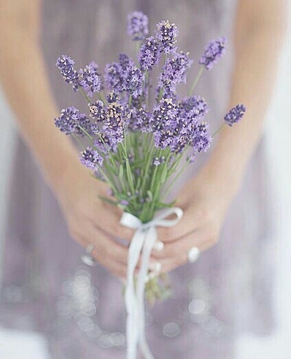 f:id:iitan1115:20160402181132j:image f:id:iitan1115:20160402181132j:image