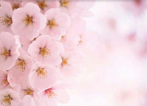 f:id:iitan1115:20160411085105j:image f:id:iitan1115:20160411085105j:image