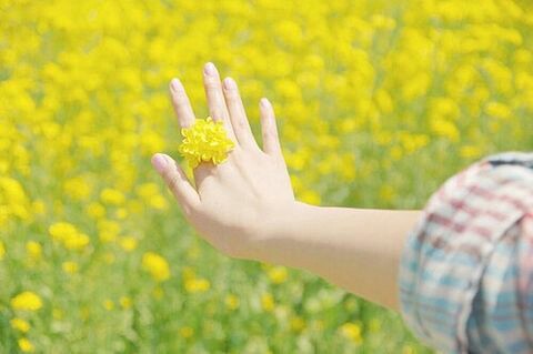 f:id:iitan1115:20160502100741j:image f:id:iitan1115:20160502100741j:image