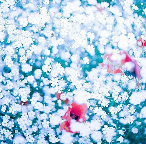 f:id:iitan1115:20160714084220j:image f:id:iitan1115:20160714084220j:image