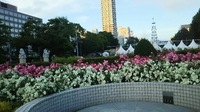 f:id:iitan1115:20160714181758j:image f:id:iitan1115:20160714181758j:image