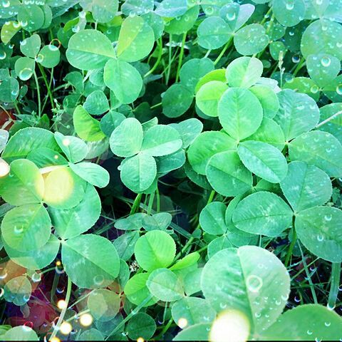 f:id:iitan1115:20160801110247j:image f:id:iitan1115:20160801110247j:image