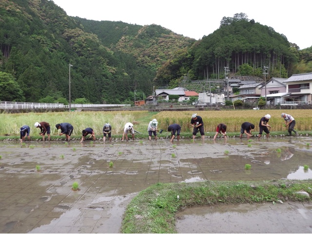 f:id:ijustet:20140619023536j:plain