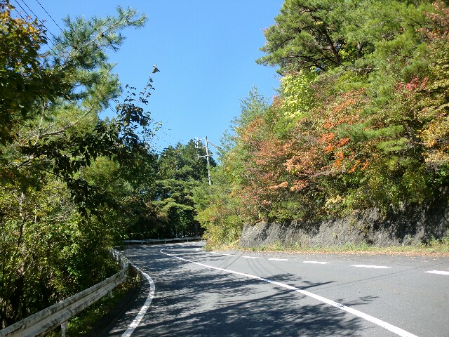 f:id:ikarugasan:20151019131448j:image f:id:ikarugasan:20151019131448j:image