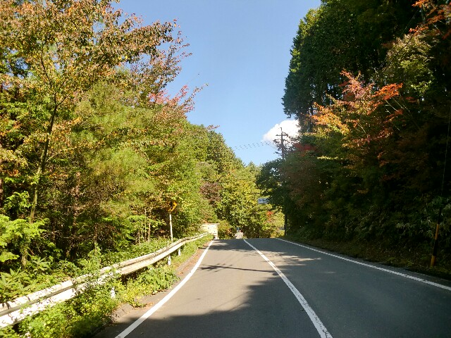 f:id:ikarugasan:20151019131538j:image f:id:ikarugasan:20151019131538j:image