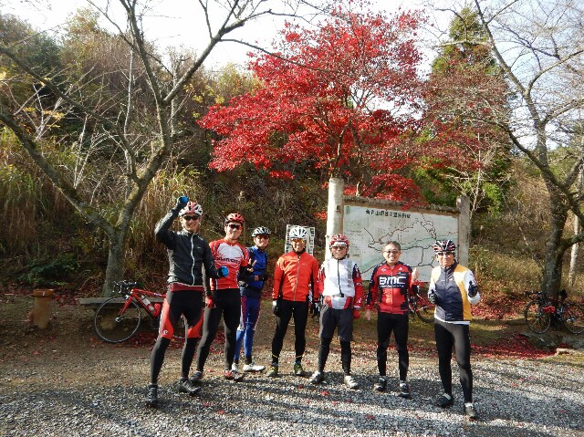 f:id:ikarugasan:20151201064826j:image f:id:ikarugasan:20151201064826j:image