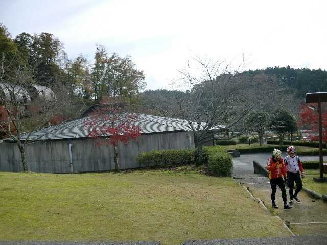 f:id:ikarugasan:20151201070322j:image f:id:ikarugasan:20151201070322j:image