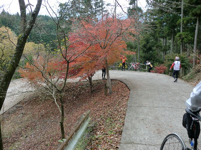 f:id:ikarugasan:20151201223340j:image f:id:ikarugasan:20151201223340j:image