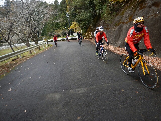 f:id:ikarugasan:20151201223701j:image f:id:ikarugasan:20151201223701j:image
