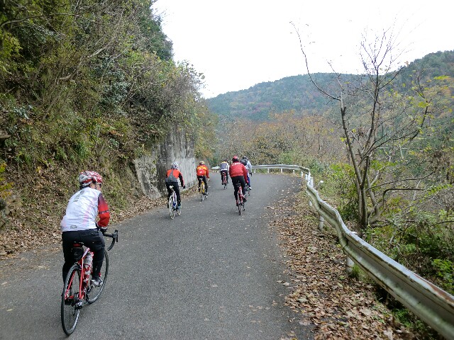 f:id:ikarugasan:20151201224120j:image f:id:ikarugasan:20151201224120j:image