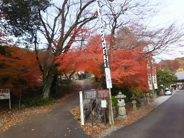 f:id:ikarugasan:20151208065259j:image f:id:ikarugasan:20151208065259j:image